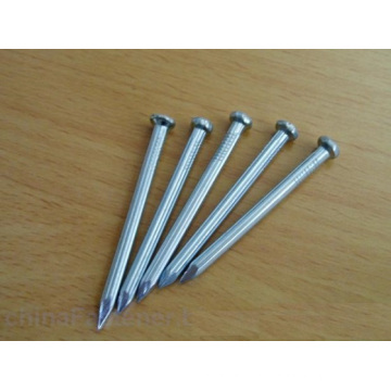 common nail/fence staples u nails/nail factory